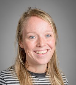Rosa van werven